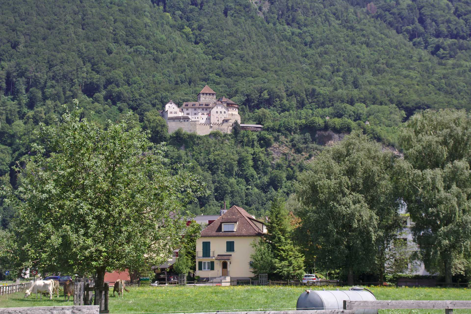 <p>Royal Castle, Liechstenstein</p>
