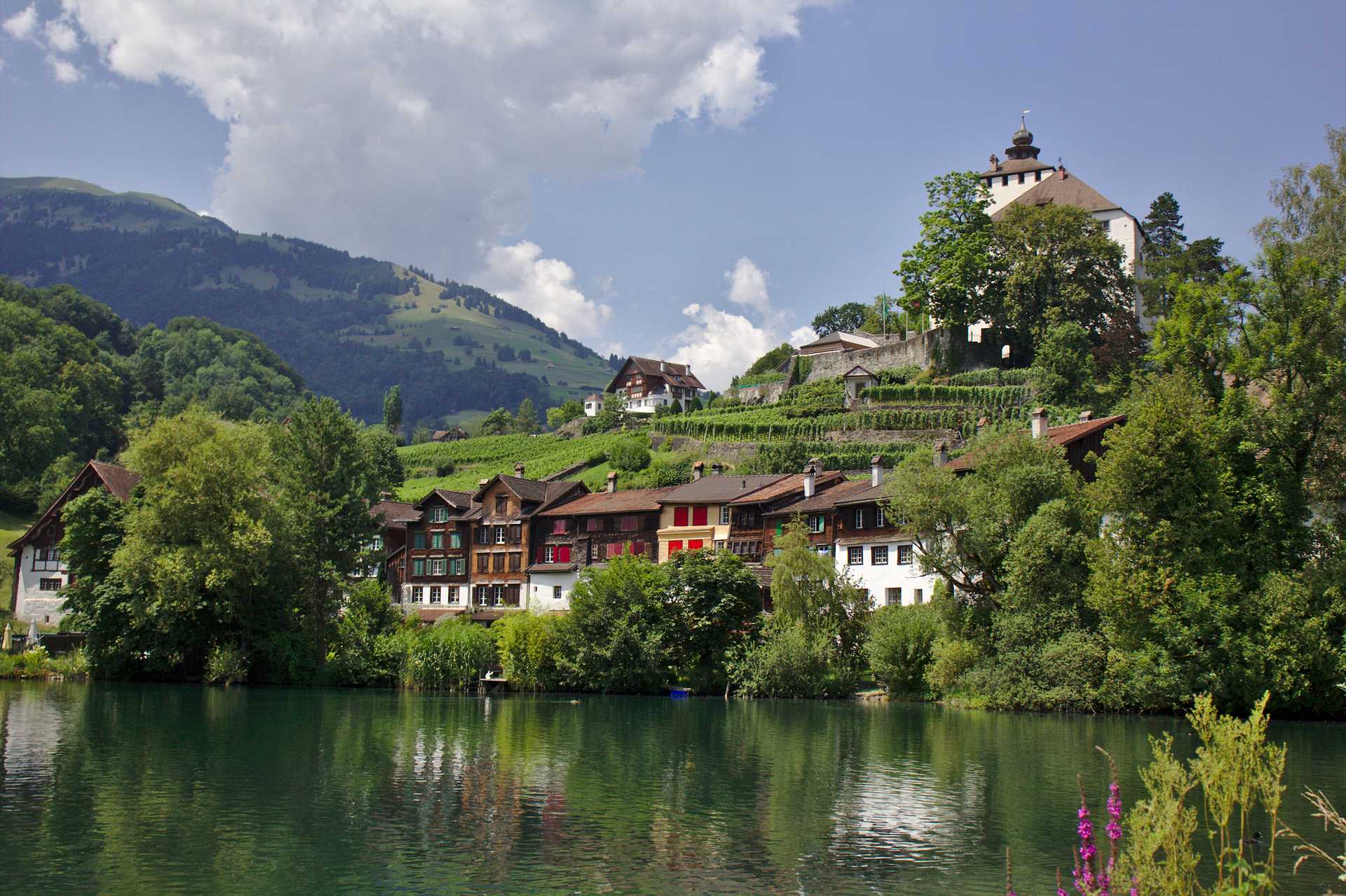 <p>Castle Werdenberg, Switzerland</p>